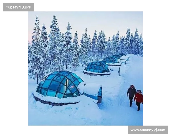 雪地攻略_雪地还有用吗：巅峰：极地雪原的精准猎杀